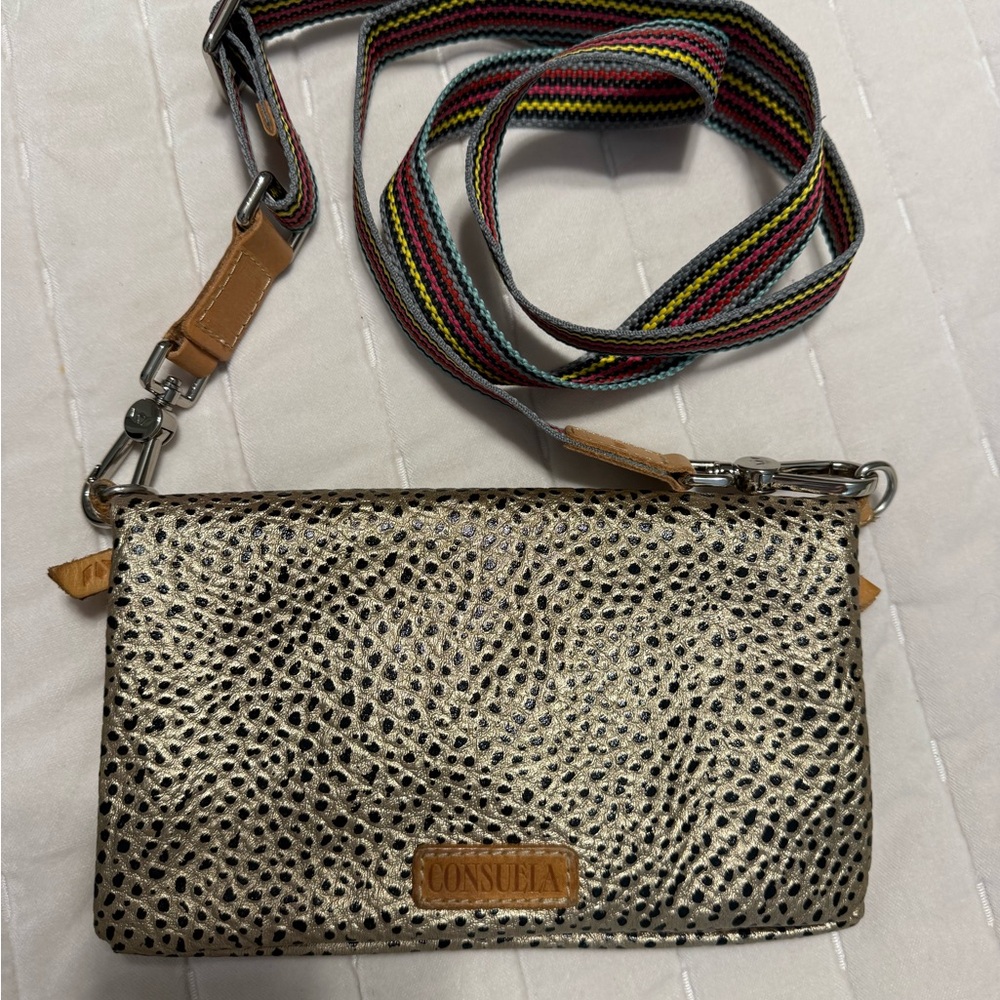 Consuela Gold Metallic Textured Crossbody with Multicolor Striped Strap